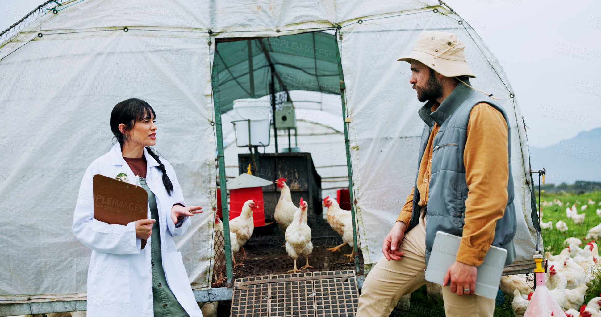 Buy stock photo Clipboard, vet and discussion with man on chicken farm for flock health, monitor growth or biosecurity. Poultry industry, doctor and farmer with medical checkup for egg production and agro business