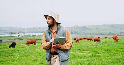 Buy stock photo Agriculture, planning and tablet with man on chicken farm for research, strategy or sustainability. App, poultry and thinking with farmer person outdoor on grass field for management of livestock