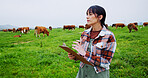 Woman, clipboard and writing with cattle farming, notes and thinking with review for sustainability. Person, farmer and checklist with cows, insight and stats for food production in countryside