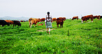 Back, woman or walking on farm with cows for livestock, meat production or sustainable dairy business. Farmer, female person and journey in field for grass fed cattle, animals or organic agriculture.