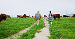 Farm, cows and back of parents with child in field for bonding, sustainability and agriculture. Family, countryside and mom, dad and girl holding hands for walking, cattle production and environment