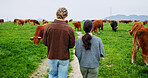 Back, people or walk on farm with cows for livestock, meat production or sustainable dairy business. Countryside, farmer or team journey in field for grass fed cattle, animals or organic agriculture.