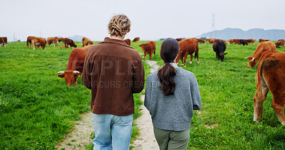 Buy stock photo Back, people or walk on farm with cows for livestock, meat production or sustainable dairy business. Countryside, farmer or team journey in field for grass fed cattle, animals or organic agriculture.