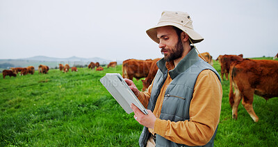 Buy stock photo Man, tablet and scroll with agriculture, cattle or checklist for livestock management with space. Person, farmer and cows with application, review or sustainability for food production in countryside