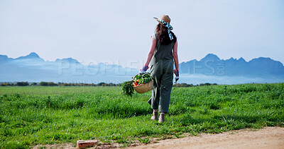 Buy stock photo Walking, farmer and woman with carrots in countryside, outdoor and produce for sustainable business. Agriculture, space and person with vegetables in farm, back and food growth, harvest or fresh air