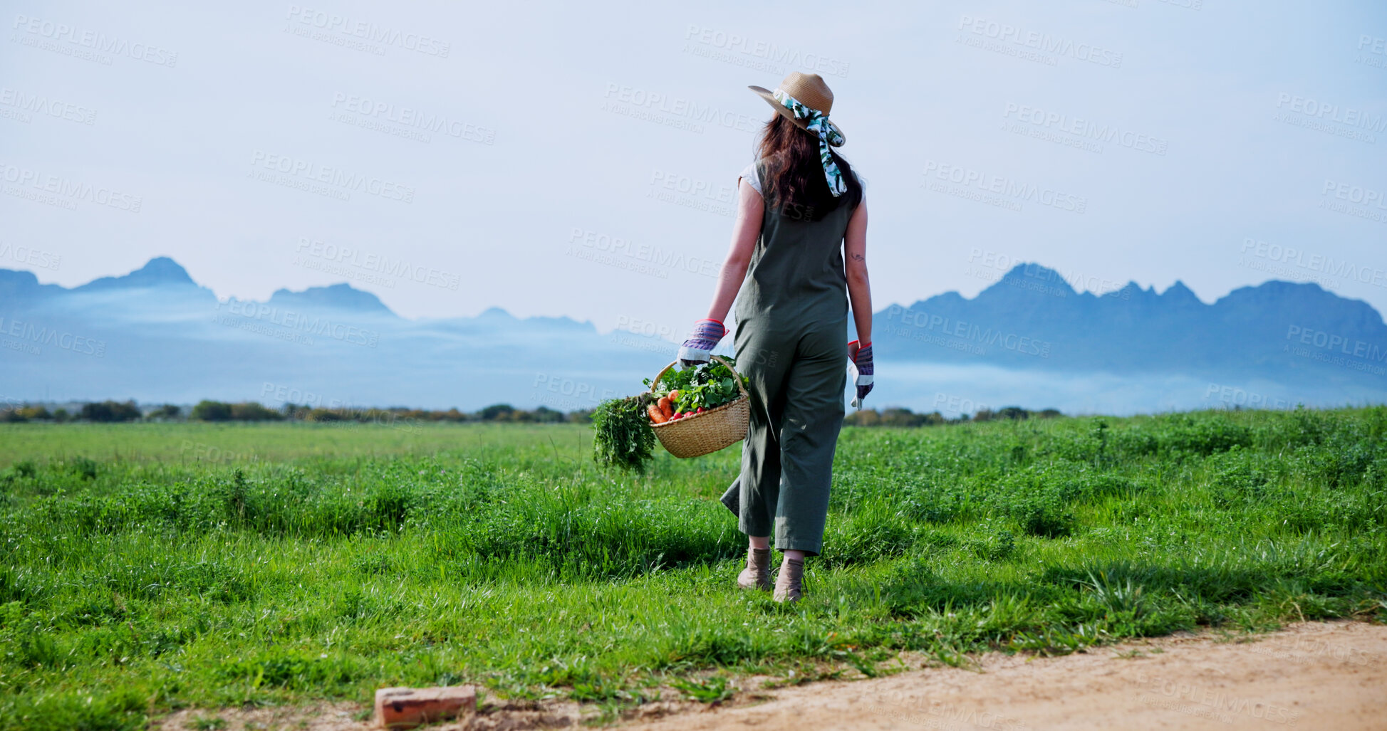 Buy stock photo Walking, farmer and woman with carrots in countryside, outdoor and produce for sustainable business. Agriculture, space and person with vegetables in farm, back and food growth, harvest or fresh air