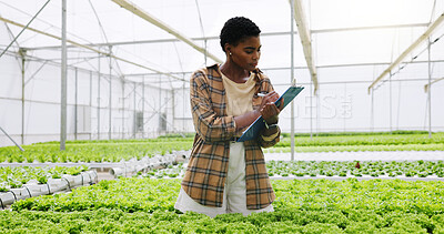 Buy stock photo Woman, writing and inspection in greenhouse, plants and sustainability for crops and horticulturist. Agriculture, hydroponic farming and black person with clipboard for quality assurance and notes