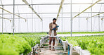 Black woman, agriculture and greenhouse with clipboard for harvest inspection or food production. Female person, farmer or monitoring natural growth for sustainability, conservation or agro business