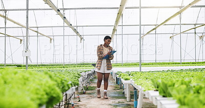 Buy stock photo Black woman, agriculture and greenhouse with clipboard for harvest inspection or food production. Female person, farmer or monitoring natural growth for sustainability, conservation or agro business