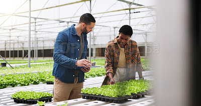 Buy stock photo Farm, checklist and people with plants in greenhouse for inspection for growth, produce and health. Agriculture, sustainability and farmers with clipboard for organic crops, harvest and vegetables