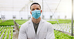 Science, greenhouse and portrait of man with mask for research of plants, gmo crops and produce. Agriculture, safety ppe and person with pride for food production, ecology study and sustainability