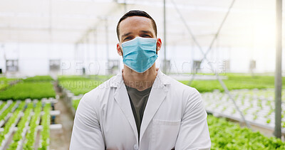 Buy stock photo Science, greenhouse and portrait of man with mask for research of plants, gmo crops and produce. Agriculture, safety ppe and person with pride for food production, ecology study and sustainability