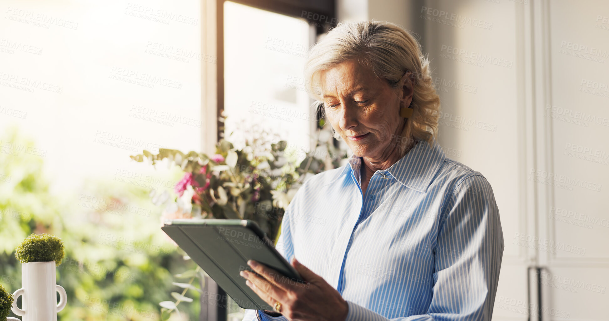 Buy stock photo Home, tablet and senior woman with internet, retirement and connection with social media. Apartment, pensioner and mature person with tech, message and network with online reading and communication