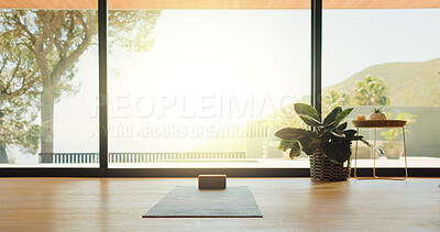 Buy stock photo Background, mat and plant in yoga studio for awareness, inner peace or mindfulness session. Block, empty and interior with view of window in gym class for balance, holistic health or wellness