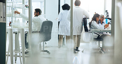Buy stock photo Busy, science and walking with people in laboratory together for medical or pharmaceutical research. Development, innovation and medicine with scientist team at work on clinical trial or experiment