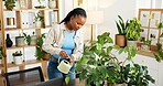 Water, plants and business black woman in office for sustainability manager, growth and environment. Esg expert, leaf health and eco friendly startup with person in agency for zen garden and check