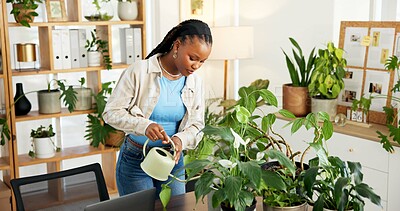 Buy stock photo Water, plants and business black woman in office for sustainability manager, growth and environment. Esg expert, leaf health and eco friendly startup with person in agency for zen garden and check