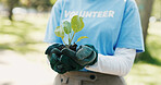 Compost, plant and hands of volunteer in nature for sustainability community service. Non profit, outdoor and ngo worker with fertilizer for leaf growth with charity event at park for earth day.
