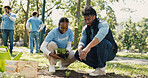 Park, volunteering or people with plants for nature restoration project, non profit or gardening initiative. Teamwork, sustainable environment or eco advocate with sapling, climate action or outdoor