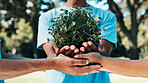 Volunteer, people or hands with plant for nature restoration project, eco advocate or green initiative. Responsibility, sustainable environment or team with support for climate action, outdoor or ngo