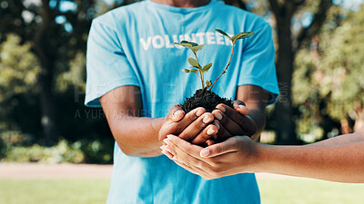Buy stock photo Volunteer, people or hands with plant in park, nature restoration project or eco advocate. Responsibility, sustainable environment or team with sapling to support green action, outdoor or non profit