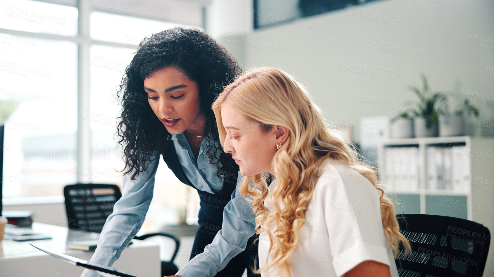 Buy stock photo Business, women and meeting with folder in office for training, proofreading article and feedback. People, mentorship and team with manuscript, draft update and headline advice for story publication