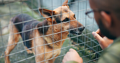 Buy stock photo Love, man and choice with dog at shelter for adoption service, homeless animal and rescue centre. Happy, person and puppy by fence for bonding, foster care and pet welfare or charity ngo support