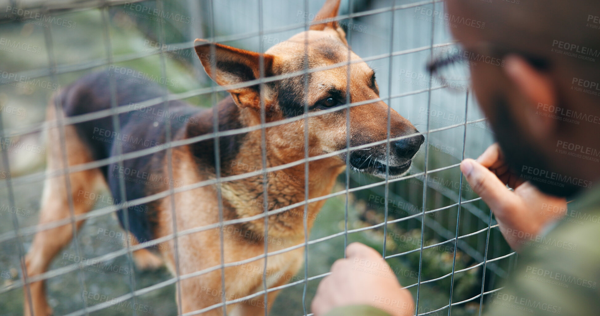 Buy stock photo Love, man and choice with dog at shelter for adoption service, homeless animal and rescue centre. Happy, person and puppy by fence for bonding, foster care and pet welfare or charity ngo support