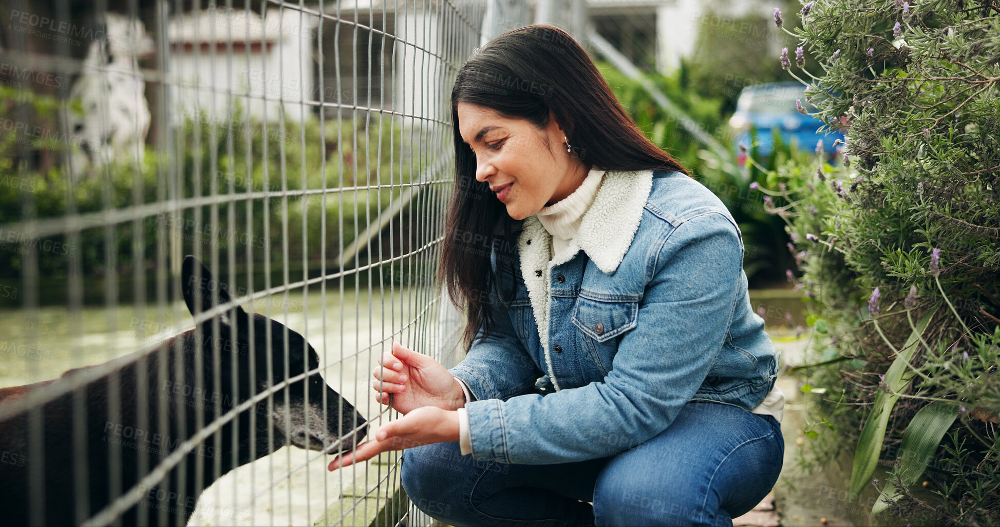 Buy stock photo Fence, woman and dog at shelter for animal adoption with bonding, kindness or companion search. Happy, female person and touch puppy at pet rescue for volunteer service, charity ngo or canine foster.