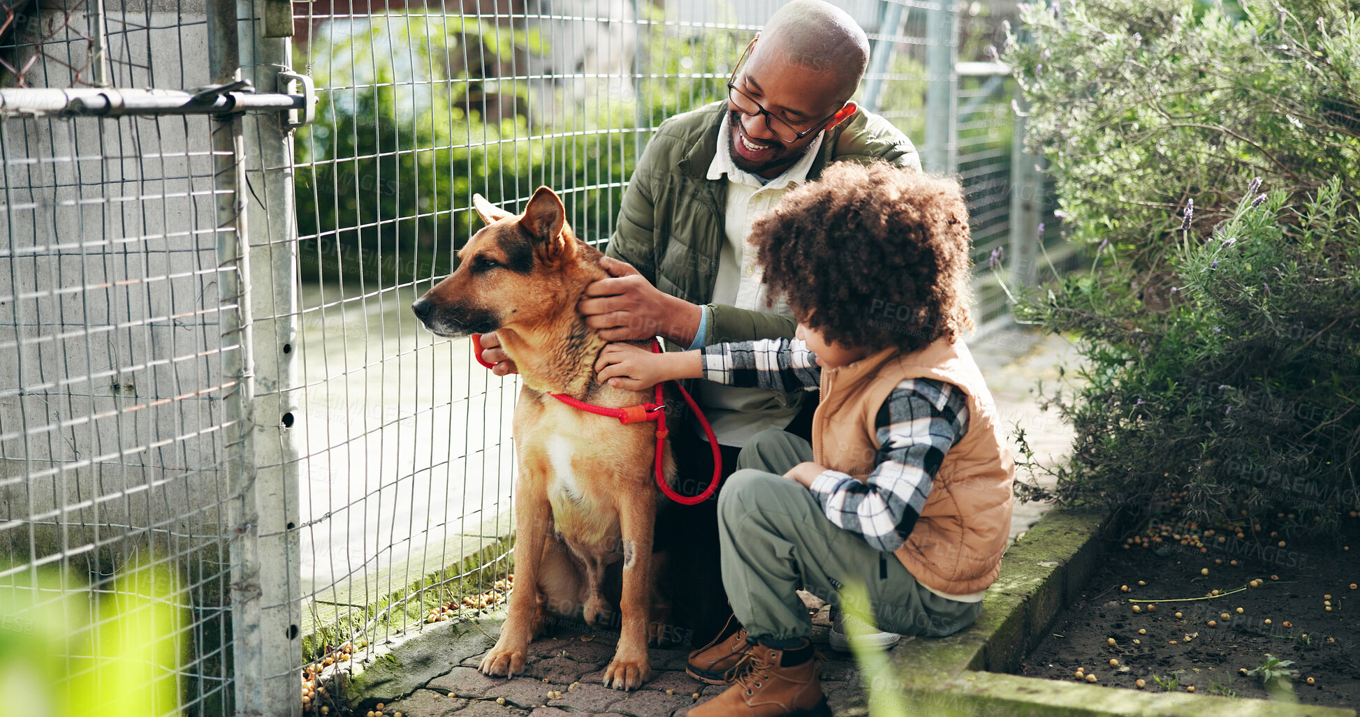 Buy stock photo Animal shelter, dad and child with dog outdoor for adoption, foster care and bonding. Kennel, sanctuary and kid with canine for rescue, pet ownership and companion at charity, ngo and volunteer