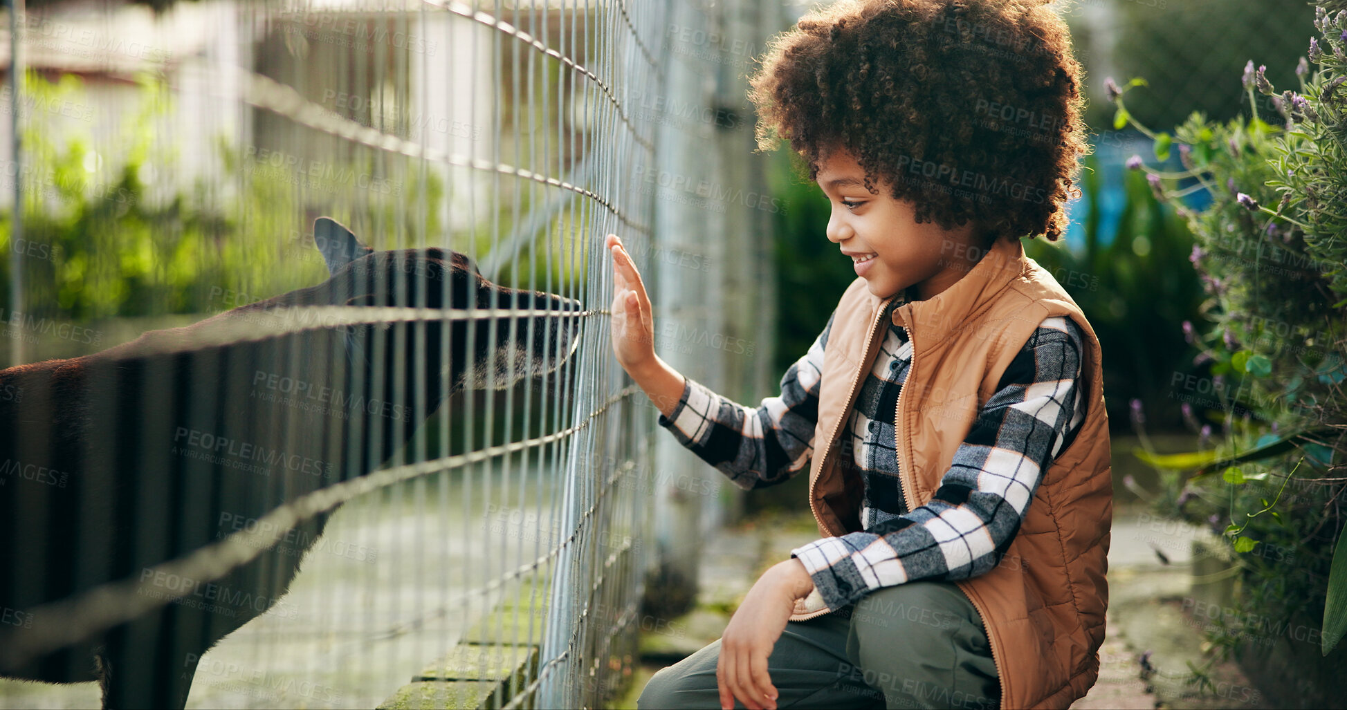 Buy stock photo Happy, boy and dog outdoor at animal shelter with visit for adoption, bonding and companion search. Child, smile or kindness at pet rescue with compassion, adoration and excitement for canine foster.