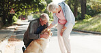 Happy, park and senior couple with dog for fresh air, walking and exercise together for animal care. Retirement, love and elderly people with Golden Retriever outdoor for wellness, health and bonding