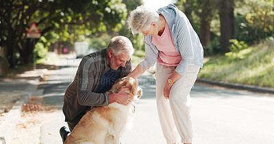 Buy stock photo Happy, park and senior couple with dog for fresh air, walking and exercise together for animal care. Retirement, love and elderly people with Golden Retriever outdoor for wellness, health and bonding