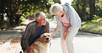 Happy, park and old couple with dog for fresh air, walking and exercise together for animal care. Retirement, love and elderly people with Golden Retriever outdoor for wellness, health and bonding