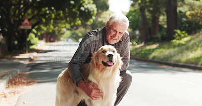 Buy stock photo Happy, outdoor and senior man with dog for fresh air, walking and exercise in park for animal care. Retirement, portrait and elderly person with Golden Retriever for wellness, health and bonding