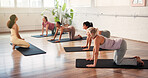 Yoga class, instructor and women with box pose in studio for wellness, morning exercise and flexibility. Pilates, personal trainer and group of people in health club for wellbeing, zen and workout