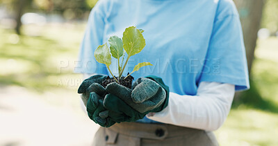 Buy stock photo Compost, plant and hands of volunteer in nature for sustainability community service. Non profit, outdoor and ngo worker with fertilizer for leaf growth with charity event at park for earth day.