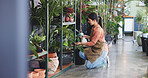 Plant, inspection and water with woman in nursery for quality control, botany specialist and entrepreneur. Small business, garden inventory and growth fertilizer with person for eco friendly store