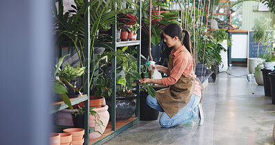 Buy stock photo Plant, inspection and water with woman in nursery for quality control, botany specialist and entrepreneur. Small business, garden inventory and growth fertilizer with person for eco friendly store