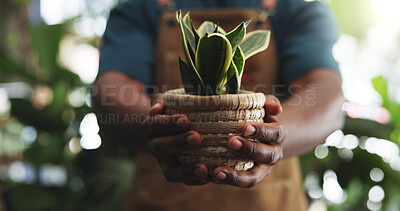 Buy stock photo Pot, leaf and growth with hands in store for florist, environmental care and gardening check. Sustainability, organic and nursery product with person and plant in shop for quality assurance and eco