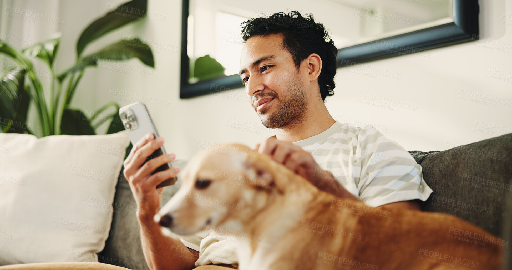 Buy stock photo Man, dog and phone on sofa, texting and relax with stroke, care and check notification for chat at home. Person, smartphone and pet animal on couch with low angle, mobile app or social media in house