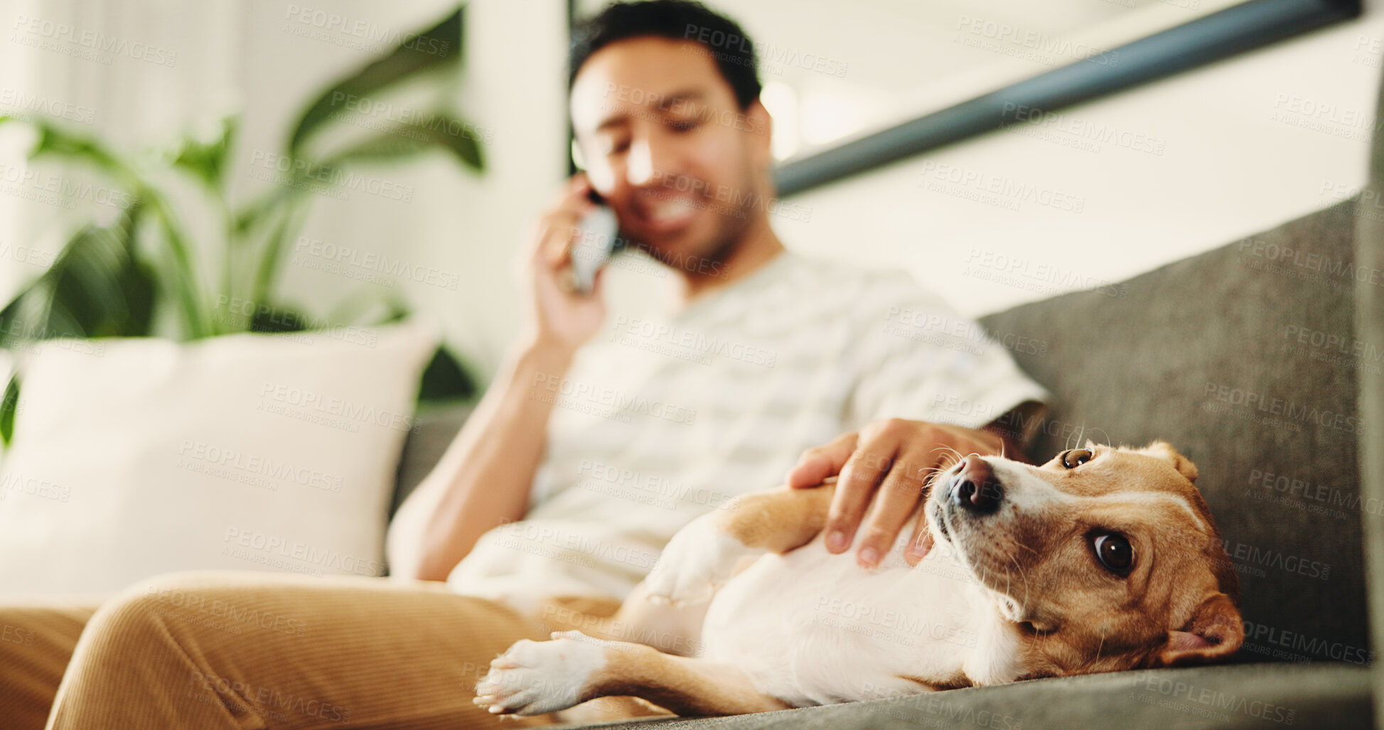 Buy stock photo Dog, hands and stroke for care on sofa, relax and man with phone call, smile and contact at home. Pet animal, loyalty and touch for comfort in lounge, smartphone or conversation on couch at apartment
