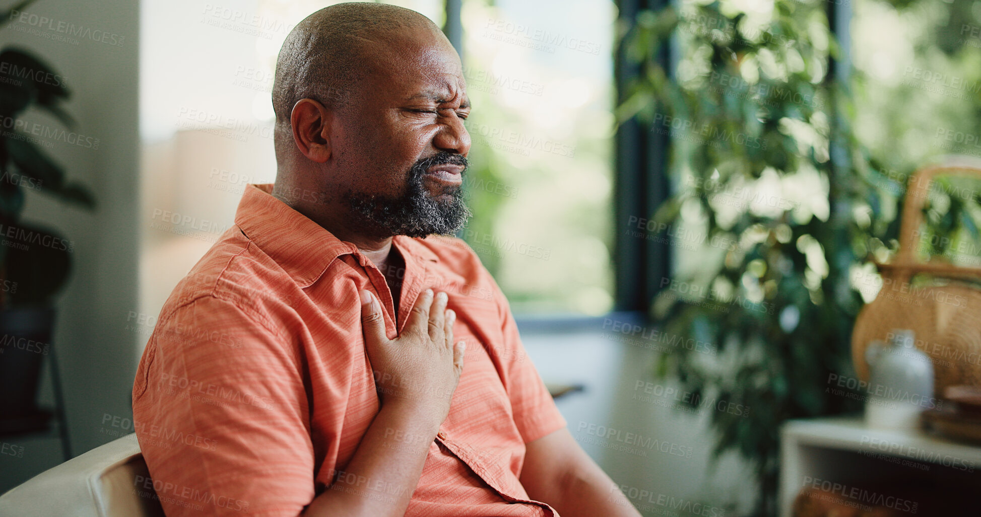 Buy stock photo Upset, man and heartburn in home with chest pain from medical problem, inflammation or indigestion. Mature black person, acid reflux and discomfort in house with health issue, discomfort and pressure