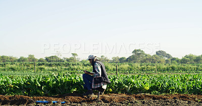 Buy stock photo Farmer, woman and inspection with tablet on field for crop health, quality assurance or reporting. Agriculture, farm owner and digital checklist outdoor for pest control, plant growth or mockup space