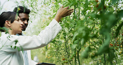 Buy stock photo Science, team and people with tablet, farm and plant inspection for disease management and research. Outdoor, botanist and colleagues with tech in nature, agriculture and study for quality assurance