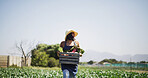Walking, vegetables and woman with box in greenhouse for harvesting, sustainability or agro business. Seller, basket and farmer with produce for agriculture, food or crops export in conservatory.