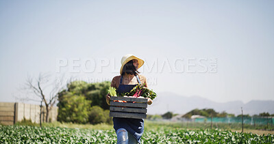 Buy stock photo Walking, vegetables and woman with box on farm for harvesting, sustainability or agro business. Seller, basket and farmer with produce for agriculture, food or crops export outdoor in countryside.