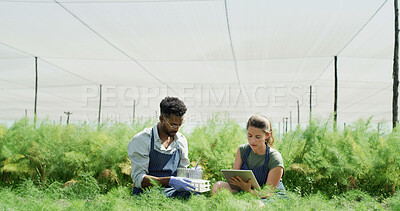 Buy stock photo Greenhouse, test tube and people with tablet, crop or gmo with app for sample inspection. Man, woman and agriculture with tech, genetic engineering or sustainability discussion for growth research