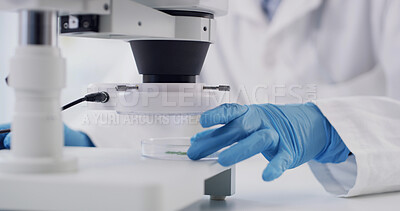 Buy stock photo Hands, microscope and medical research at laboratory for bacteria, particles and analysis for virus cure. Person, pharmaceutical study and equipment for germs, molecules and vaccine development