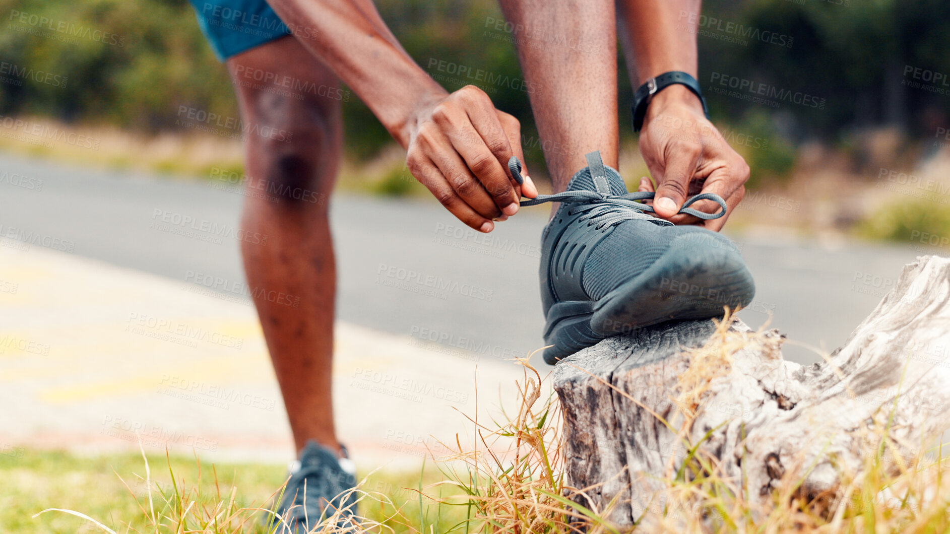 Buy stock photo Man, fitness and tying with sneakers on log for workout preparation or outdoor exercise in nature. Active, male person or getting ready with hands, tie or shoes for training, hiking or trekking